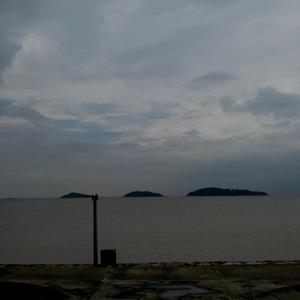 日本人屁股眼交
